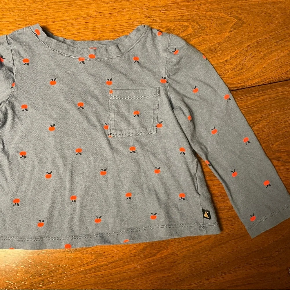 GAP Long Sleeve Blue Tee with Red apples. Size 2 years, 2T.